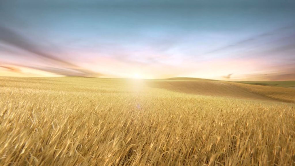 Wide CG rendering of the Deutz "Weizenfeld" at sunset.