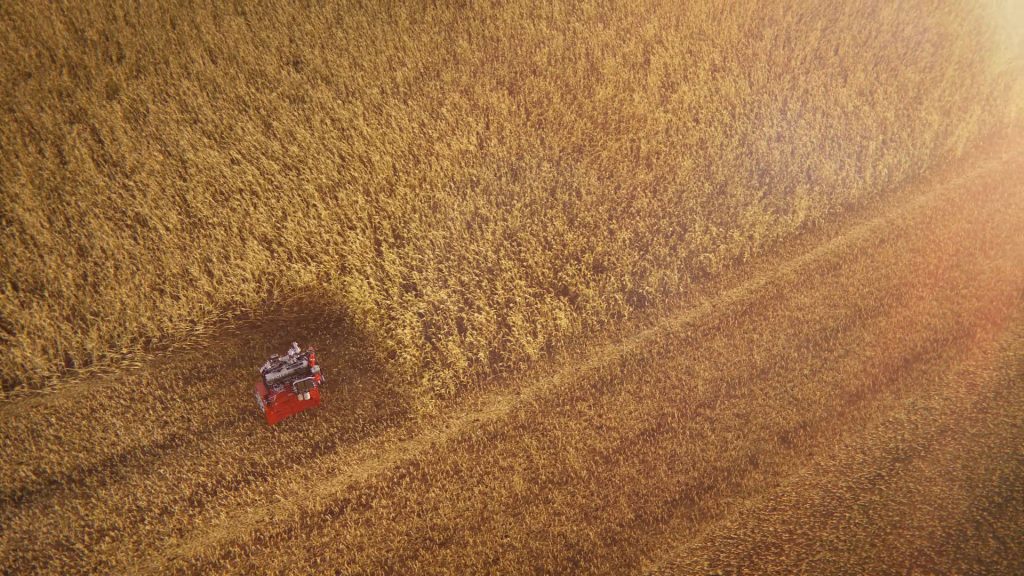 Wide top view CG rendering of a Deutz motor harvesting a wheat field.