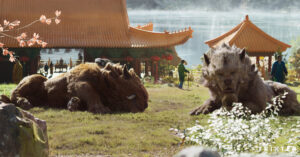 Two foo dogs lying in the grass